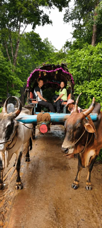 Traditional Village Lunch & Bullock Cart Ride