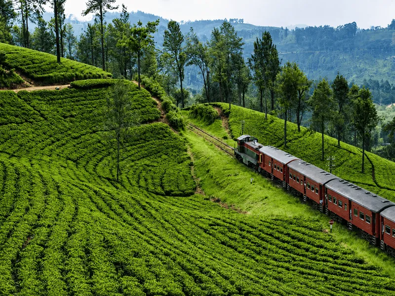 Central Highlands Ceylon Tea Country